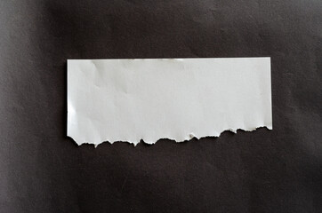 White blank sheet of paper with torn tabs on a gray background.