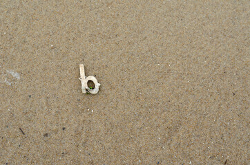 Fototapeta na wymiar The letter B on the wet yellow sand. The white plastic letter is
