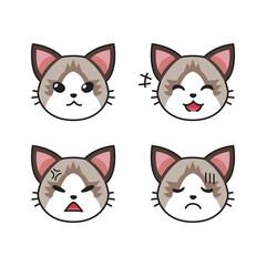 Obraz premium Set of Ragdoll cat faces showing different emotions for design.