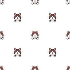 Fototapeta premium Cartoon character ragamuffin cat seamless pattern background for design.