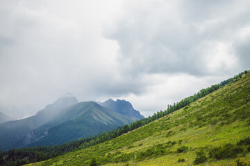 Dramatic vivid mountain landscape with green forest under pointed peak among rainy low clouds. Scenic alpine view to sharp mountain pinnacle under cloudy sky in overcast weather. Mountains scenery.
