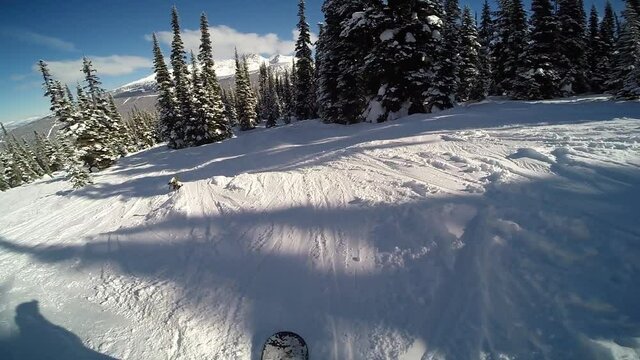 POV snowboarding through trees at Whistler Blackcomb
