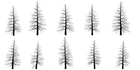 Set with silhouettes of trees isolated on white background. Vector illustration