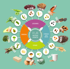 Set of vegan sources of protein on color background