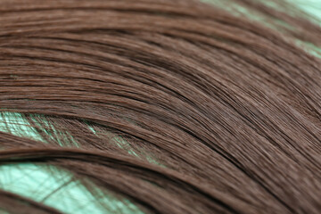 Brown hair on color background, closeup