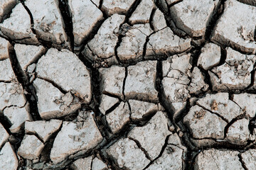 Dry and cracked ground. Global warming concept 