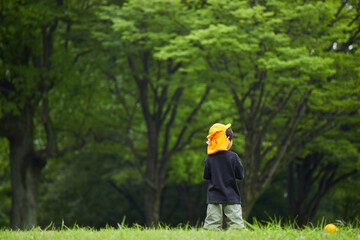 夏の公園で遊んでいる保育園の園児の様子