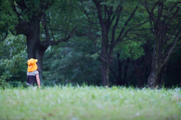 夏の公園で遊んでいる保育園の園児の様子