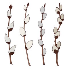 Collection of willow twigs. Vector color illustration in flat style. Spring season. Hand drawn