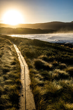 walking path beside the beach at sunrise