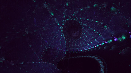 3D rendering abstract blue fractal light background