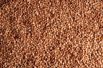 Dry buckwheat groats background top view 