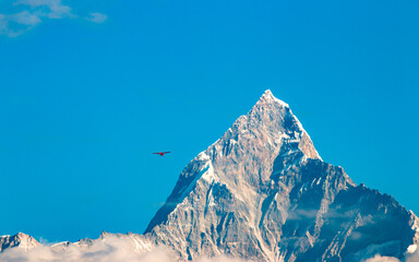 Landscape view of Mount Machhapuchhre at kaski, Nepal. 