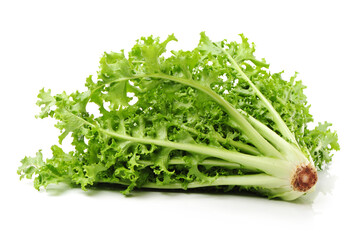 Escarole Endive on a white background