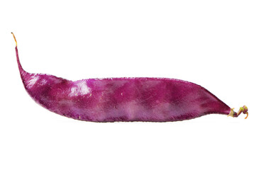 Fototapeta premium Hyacinth bean on white background 