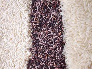 Top view various organic rice grain texture background. 