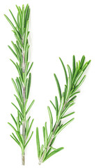 Food and cooking concept - two branches of rosemary isolated on a white background, top view.