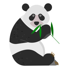 The fat black and white panda was eating a green bamboo leaf in his hand and turned his head to look at the people.