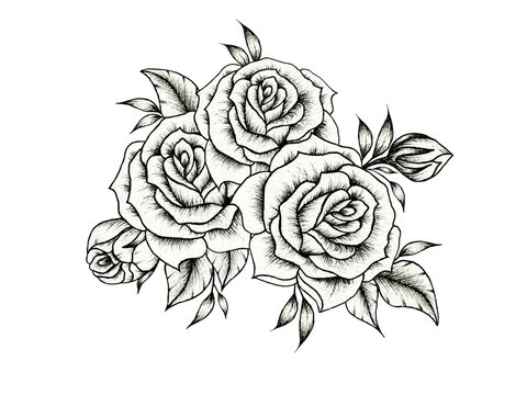 Beautiful black and white rose bouquet, rose floral arrangement isolated on white for weddings, greetings, Valentines or mother's day, vintage black rose sketch