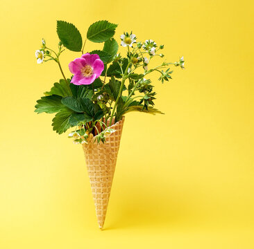 Wild white and pink flowers of wild rose and strawberry in a waffle cone on a yellow background. Minimalistic summer concept