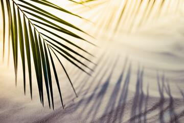 Sunset on tropical beach with white wavy sand, green palm leaves in bright golden sunlight with...