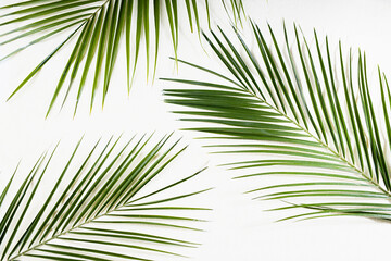 White sand and palm leaves top view, pattern, summer tropical background.