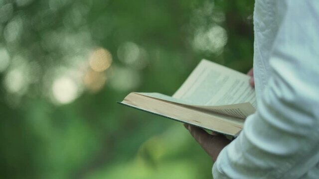 Woman hand holding open book in park against blurred greenery at summer day