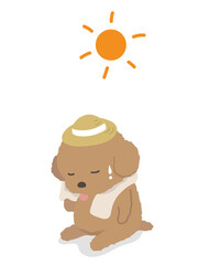 熱中症のプードルと太陽