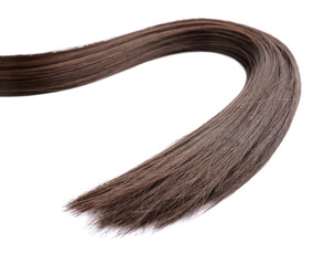 Strand of brown hair on white background