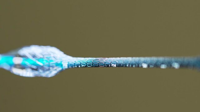 Test of a medical stent. Mesh metal nitinol self-expandable stent for endovascular surgery.