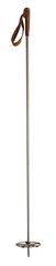 Very old ski pole