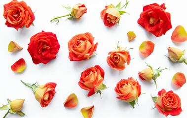 Flowers composition. Frame made of red  roses and leaves on white background