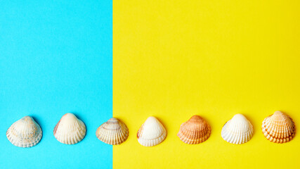 Sea shells on a yellow-blue background with copy space