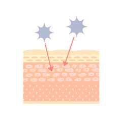 バリア機能が低下している肌のイメージ