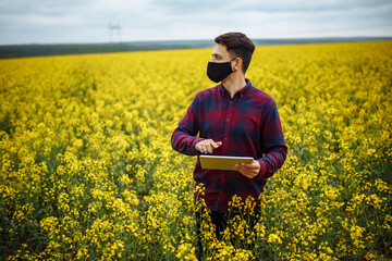 An agronomist in black mask with a tablet in his hands stands in a rapeseed field and checks blooming. Using smart technology for growing and developing plants.