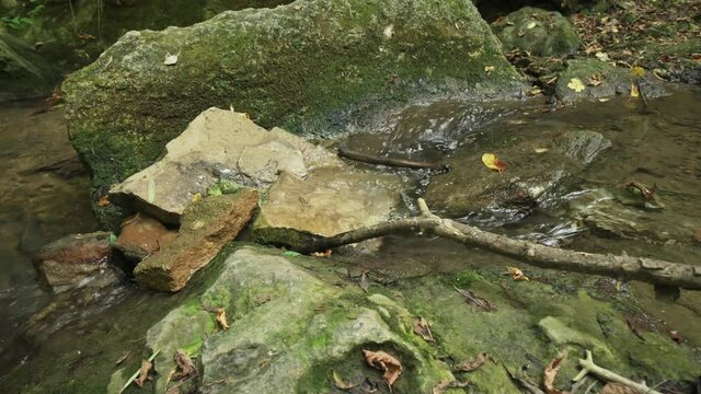 Streaming water in Bechir's Gorge near Soroca, Moldova