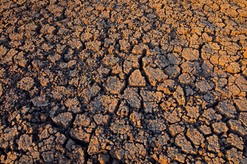 Naklejka premium Dry lake, Mana Pools NP, Zimbabwe. Hot season in Africa. Dry summer landscape with blue sky and white clouds, White grey muddy clay lake. Summer without water. Traveling in hot Africa nature.