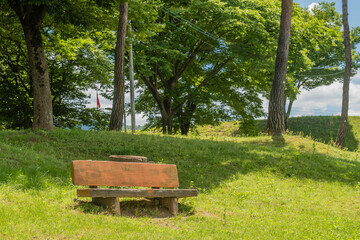 Park bench on side of grassy hill in urban park.