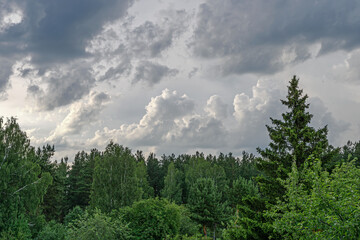 Dramatic sky over the forest on a summer evening