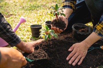 two young men are planting a tree to preserve the environment, plant tree concept to reduce global warming, eco concept green world, nature, environment, and ecology