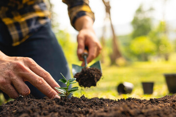 The young man is planting a tree to preserve the environment, plant tree concept to reduce global...