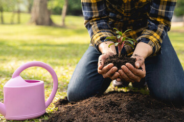 The young man is planting a tree to preserve the environment, plant tree concept to reduce global...