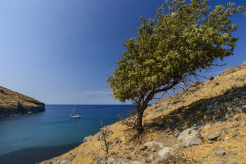 Fototapeta na wymiar Bay on the west coast of the small Greek island of Agios Efstratios in the North Aegean