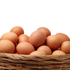 Egg collection isolated on white background