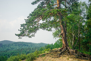 Krasnoyarsk Pillars Nature Reserve is one of the unique places in Russia