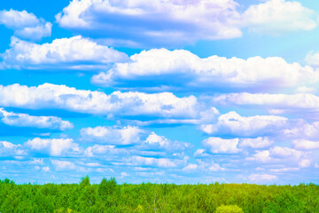 Fototapeta na wymiar Tranquil landscape with treetops and blue sky with clouds. Coniferous forest. Background with empty place for text. Template for a conservation slide, cover or website.