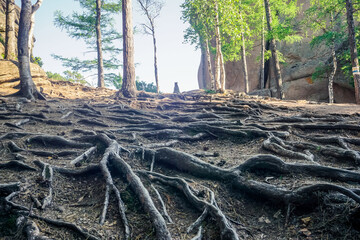 Obraz premium Krasnoyarsk Pillars Nature Reserve is one of the unique places in Russia