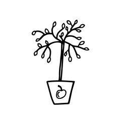 Vector illustrations seedling apple trees, hand drawn, doodle