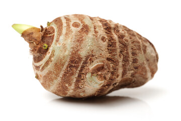 Taro on white background