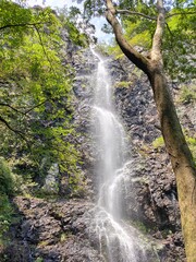 Obraz premium 癒し